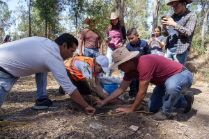 Refuerzan reforestación en la capital