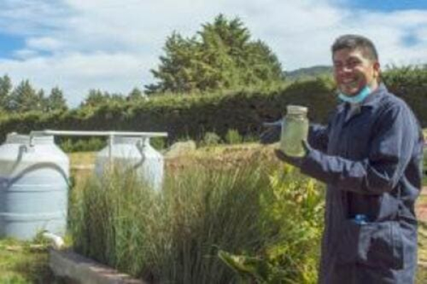 CPlantae llevará tecnología al Tecate Emblema 2027