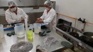 UTH y Coltlax realizan investigación del Maíz Azul Ancestral
