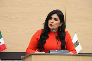 Buscan control de confianza para candidaturas