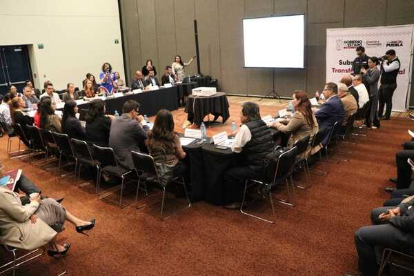 SECIHTI y Agencia Digital trabajan en simplificación de trámites