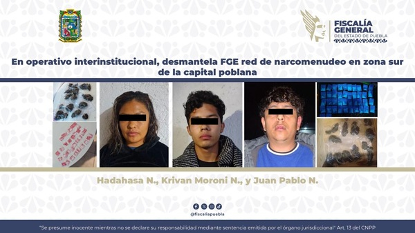 Desmantelan red de narcomenudeo al sur de la capital