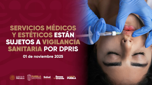 La vigilancia sanitaria en los establecimientos es constante