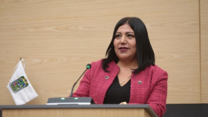 Medidas preventivas contra el empleo fraudulento