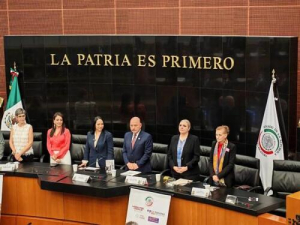 En el Senado, SEDIF difunde Centro LIBRE-Casa Carmen