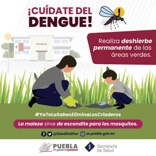 El dengue se ha propagado a 5 municipios de Puebla