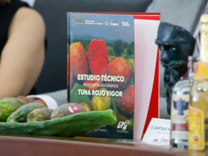 UTH por Indicación Geográfica de tuna de Acatzingo