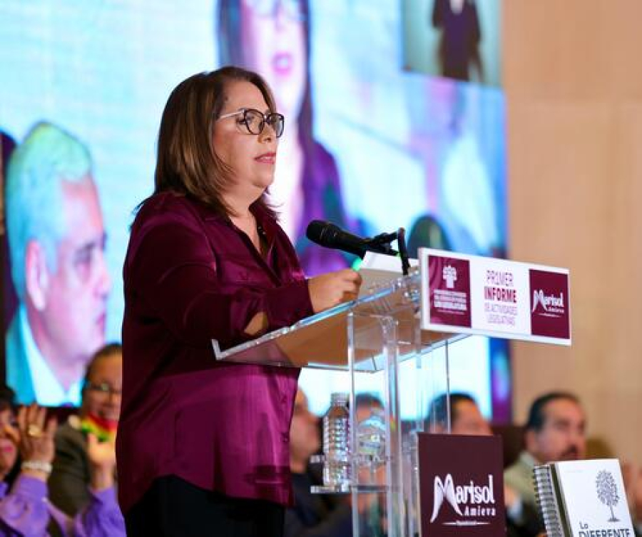 Soledad Amieva informa su trabajo legislativo