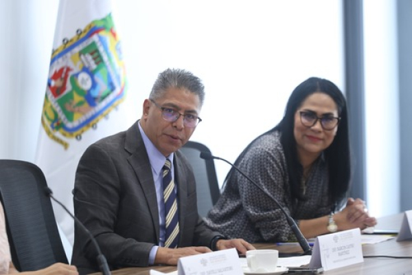 Congreso analiza el juicio pol&iacute;tico y de procedencia