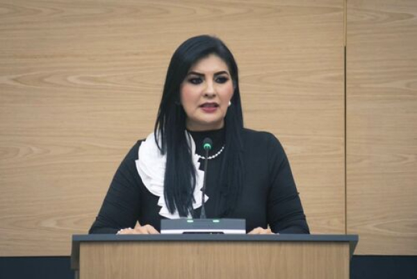 Puebla busca penas m&aacute;s severas contra el abandono