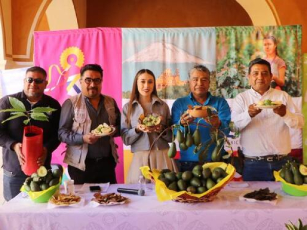Atlixco te invita a la Feria del Aguacate 2025