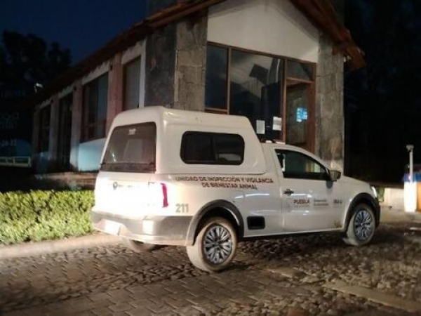 Denuncian crueldad animal en Haras del Bosque