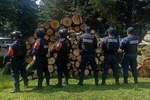 Recuperan SSP de Puebla y Tlaxcala tres metros cúbicos de madera