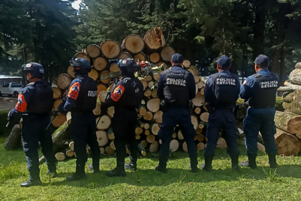 Recuperan SSP de Puebla y Tlaxcala tres metros cúbicos de madera