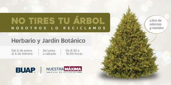 BUAP: Inicia colecta de &aacute;rboles de Navidad