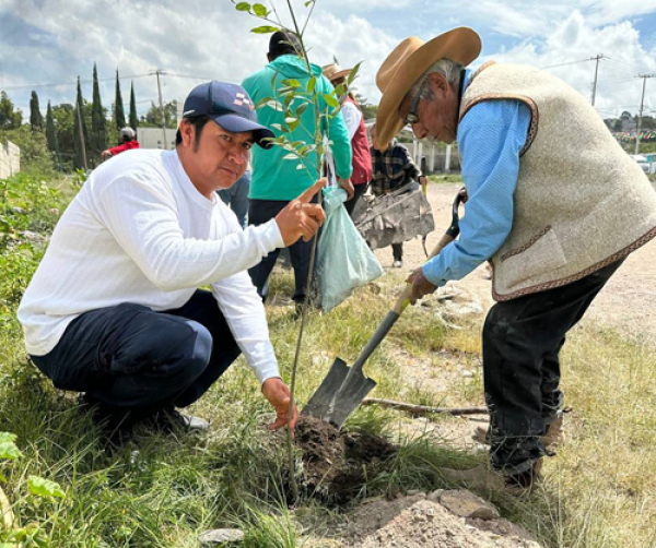 Más oxígeno para Puebla con 1,200 árboles plantados