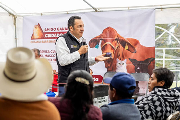 Refuerza Gobierno Estatal prevención del gusano barrenador