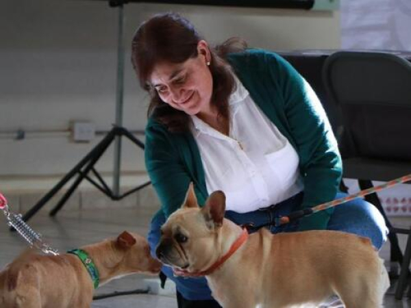SECIHTI Puebla e IBA acuerdan alianza por el bienestar animal