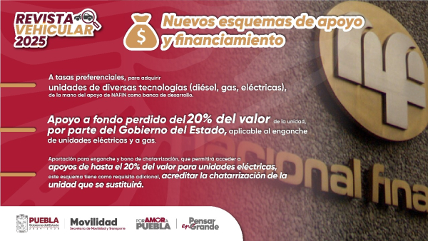 Concesionario o permisionario, conoce los detalles de la Revista Vehicular