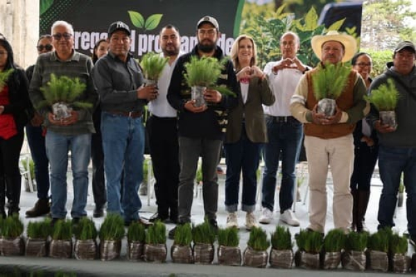 Entregan 274 mil plantas para reforestación