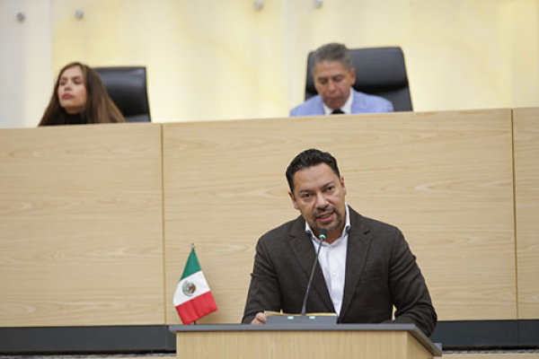 El diputado Andrés Villegas propone una Comisión de Verificación de Candidaturas