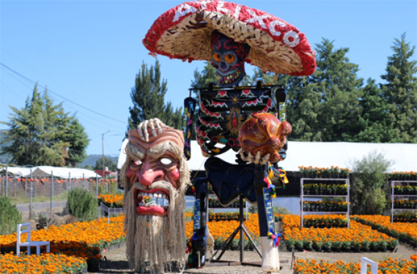 Ya llegó a Atlixco el Festival de Cempasúchil &quot;Cráneos y Catrinas