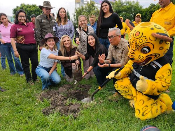 Puebla plantará 2 millones de árboles en 2026