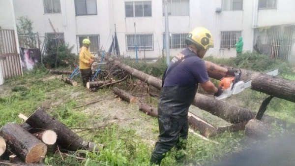 SSP atiende incidentes por lluvias en diversos municipios